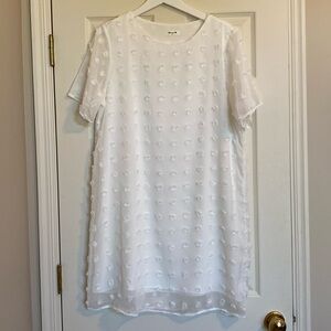 Blooming Jelly Women's White Shift Mini Dress